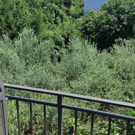 Cinema House Single & Double & Gostinjska kuća