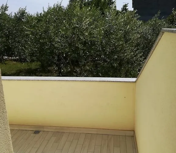 Cinema House Single & Double & 풀라