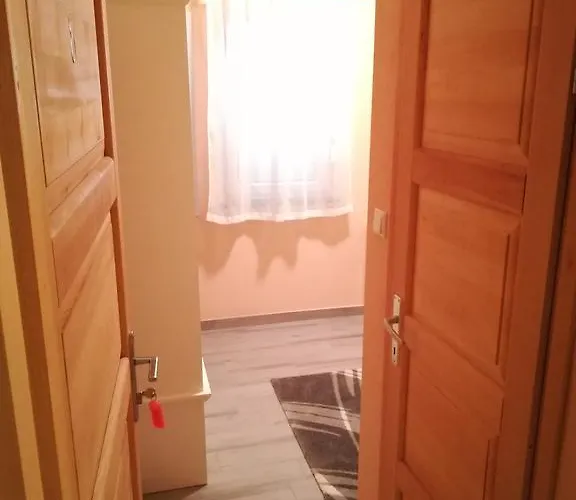 Cinema House Single & Double & 풀라